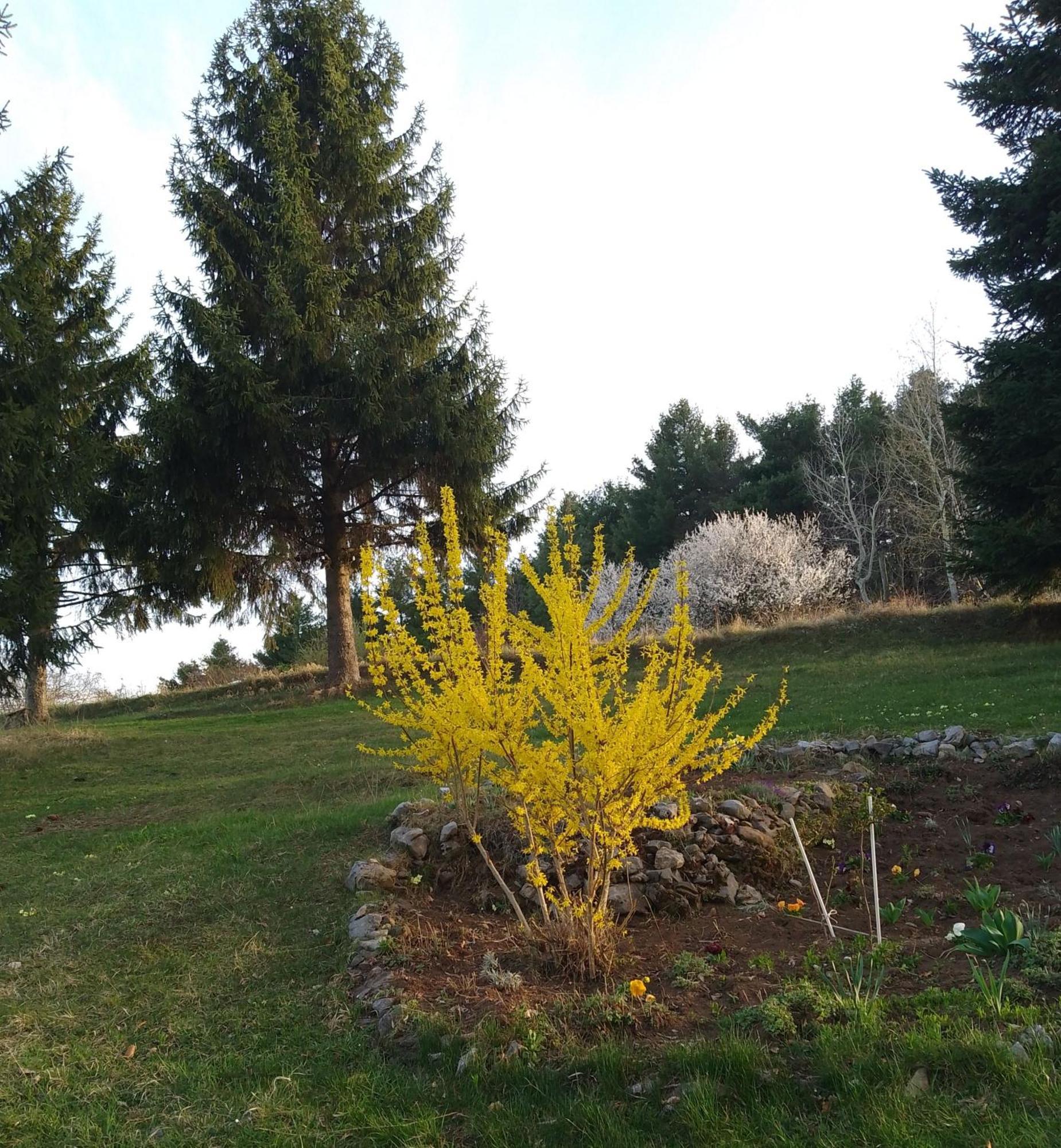 Apartmani Planinska Kuca, Jagodnja Krupanj Exterior foto