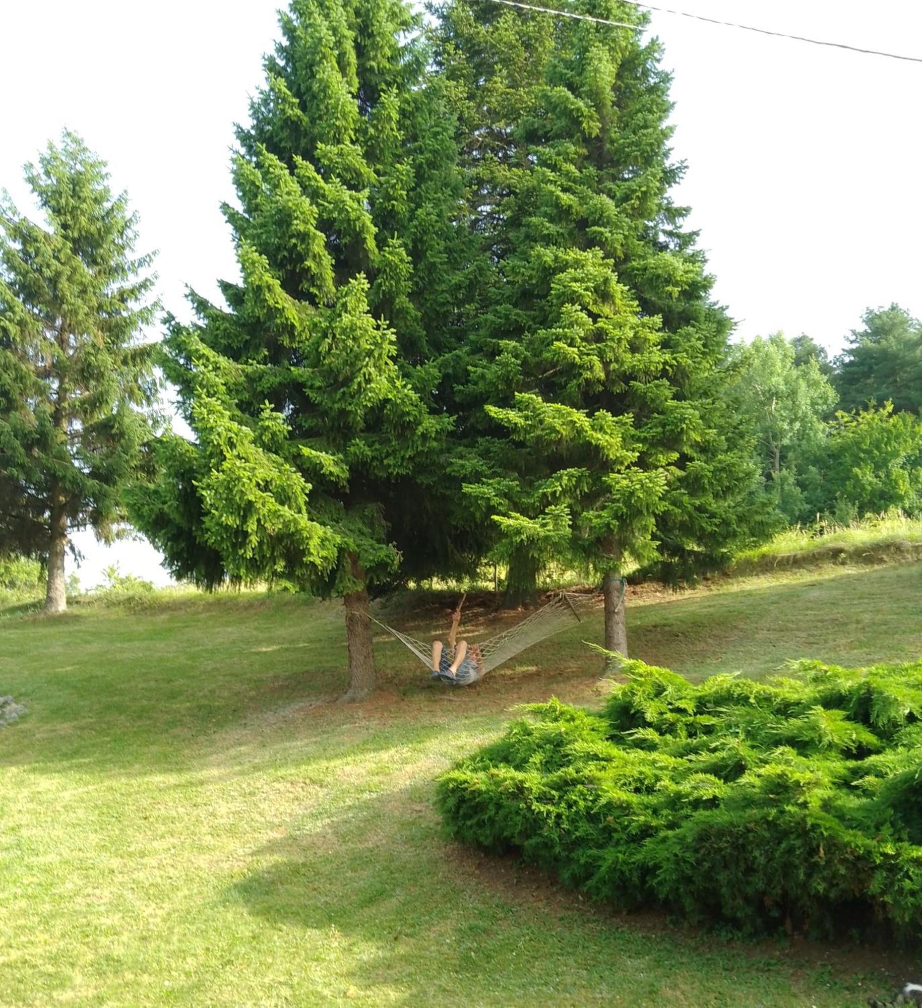 Apartmani Planinska Kuca, Jagodnja Krupanj Exterior foto